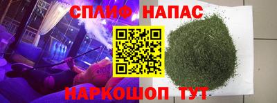 МДПВ Можга