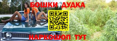 МДПВ Можга