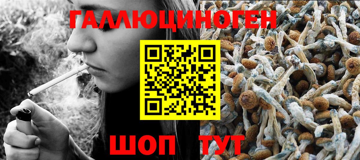 Галлюциногенные грибы MAGIC MUSHROOMS Сургут